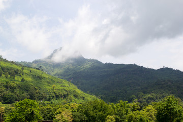 the beauty of nature