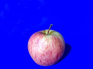 Organic apple from a Guatemalan farm on blue background. fruits concept