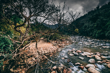 Sapa in Vietnam with paddy fields, terraces, valleys and Fansipan mountain during dramatic stormy weather in asia.