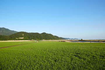 Suncheonman Bay in Suncheon-si, South Korea.