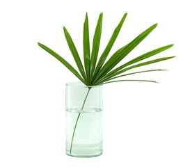 Palm leaf in a glass of water on a white marble stand.