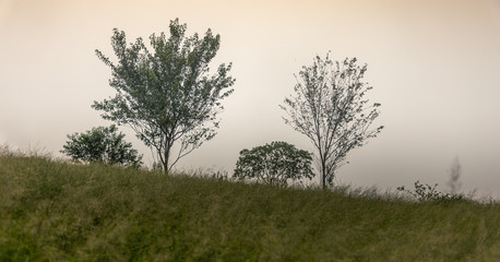 Obraz premium Thailand's scenic views of mountains and trees with beautiful landscapes.