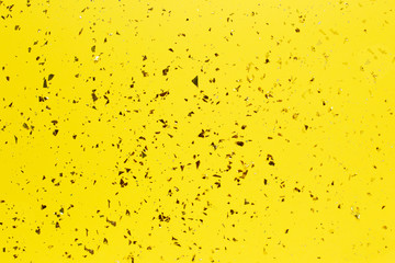 Golden sparkles on bright yellow trendy background.