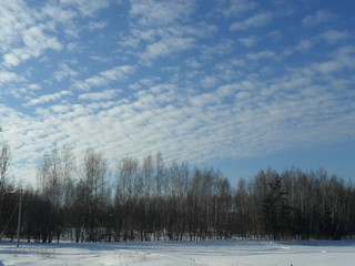 winter landscape with trees and blue sky