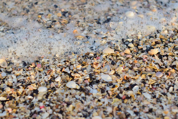 Wave bubbles on the beach with small shells