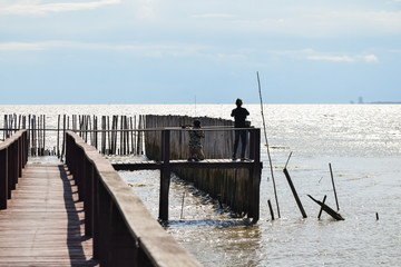 Wooden bridge of mangrove forest and beautiful viewpoint