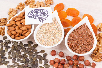 Drawing of brain and healthy food for power and good memory, nutritious eating containing vitamins and minerals