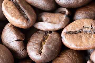 Coffee Beans Close up
