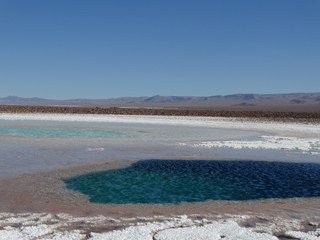 Lagunas Altiplanicas - San Pedro de Atacama