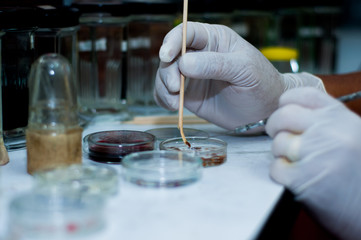 scientists working at the laboratory 