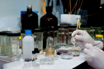 scientists working at the laboratory 