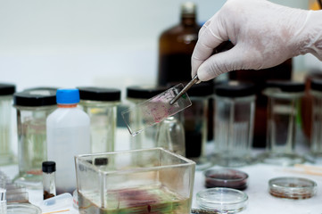 scientists working at the laboratory 