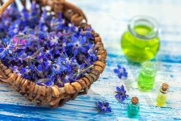 Fresh Borage flowers in a basket on light wooden background