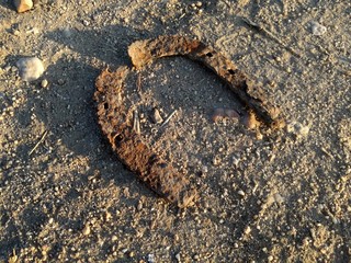 Old horseshoe lost in time and the road discovered after many years buried.