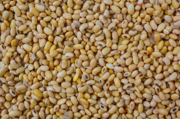 Top view of soybean background