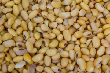 Top view of soybean background