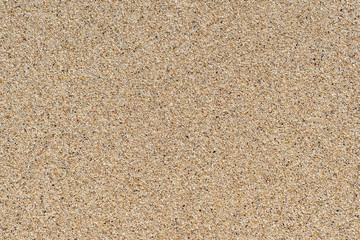 Sandy beach background. Detailed sand texture. Top view