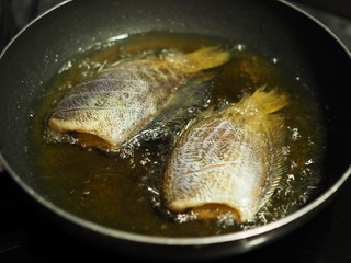 Close up Of Frying fishs