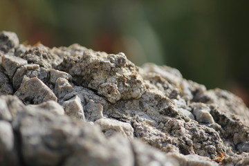 Desert Rocks