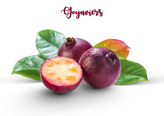 Little purple berries called ‘’Goyaviers’’, also chinese guavas (from Brazil) with leaves...