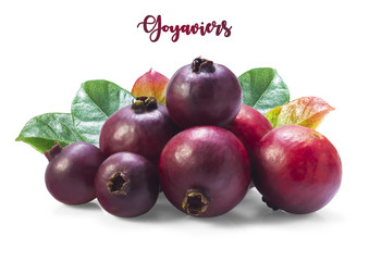 Little purple berries called ‘’Goyaviers’’, also chinese guavas (from Brazil) with leaves isolated on white background 