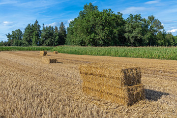 Heuballen auf einem Feld in Bayern