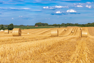 Heuballen auf einem Feld in Bayern