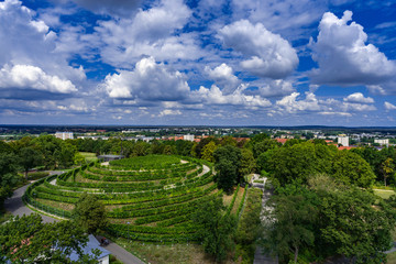 Weinberg Brandenburg an der Havel