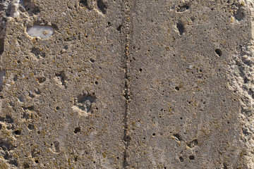 Wall of the house. Concrete coating. Cement slab.	