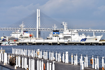 横浜港ぷかりさん橋とベイブリッジ