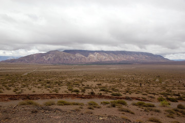 Landscape at the Los Cardones National Park, Argentina