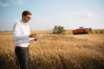 Happy farmer in the field checking corn plants during a sunny summer day, agriculture and food production concept