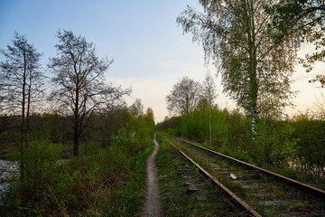 Beautiful landscape with railway, trees and grass. Nature during sunset in spring evening