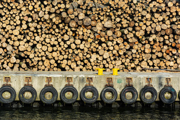 stos drewna na nabrzeżu