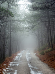 Mountain road with fog on winter season