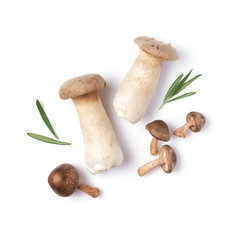 Fresh mushrooms mix of shiitake and king oyster or eringi with rosemary
