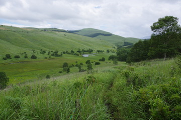 Fototapeta premium 踊場湿原 霧ヶ峰3 K3BP2763