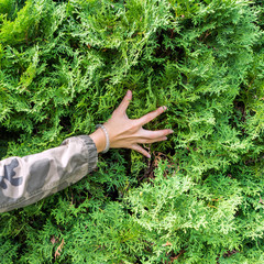 woman touching green tree. Wild nature and enviroment protection concept