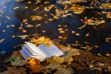 open book and autumn