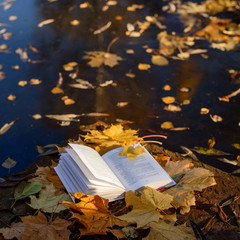 open book and autumn