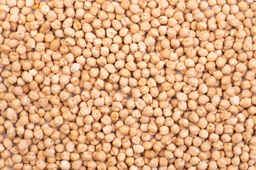 Dry, raw chickpeas, top view