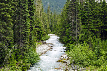 Rivière du Col-Rogers, Canada 2