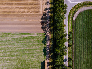 Harvesting machine working in the field. Top view from the drone Combine harvester agricultural...