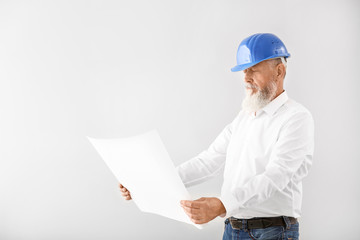 Mature male architect on white background