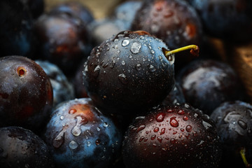 background of beautiful home plums