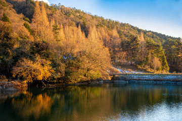 秋の山と池