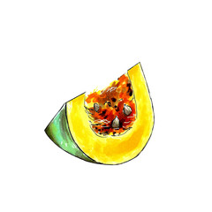 Pumpkin piece. Hand draw pastel painting illustration on white background.