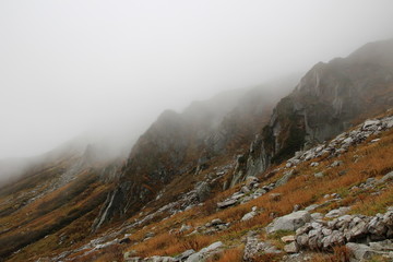 霧が立ち込める岩山（宝剣岳）
