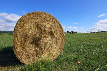 Strohballen