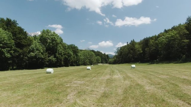 Hayball Bilder – Durchsuchen 96 Archivfotos, Vektorgrafiken und Videos ...